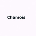 Chamois